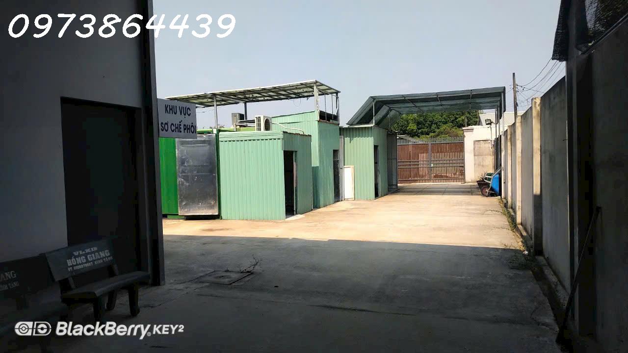 CƠ HỘI ĐẦU TƯ SIÊU HẤP DẪN – SANG NHƯỢNG TRANG TRẠI NẤM CÔNG NGHỆ CAO TẠI CỦ CHI - Ảnh 3