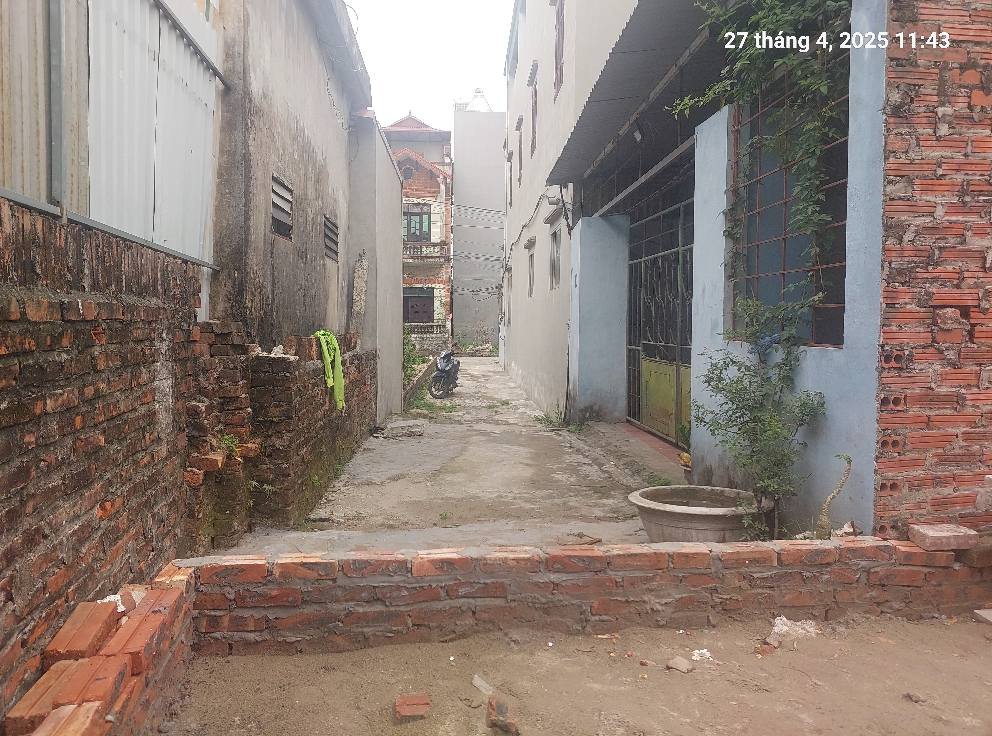 Đất Nam Hồng, 77m2, Mt4.5m, 4.5 tỷ, Đông Anh, ô tô, 3 thoáng. - Ảnh chính