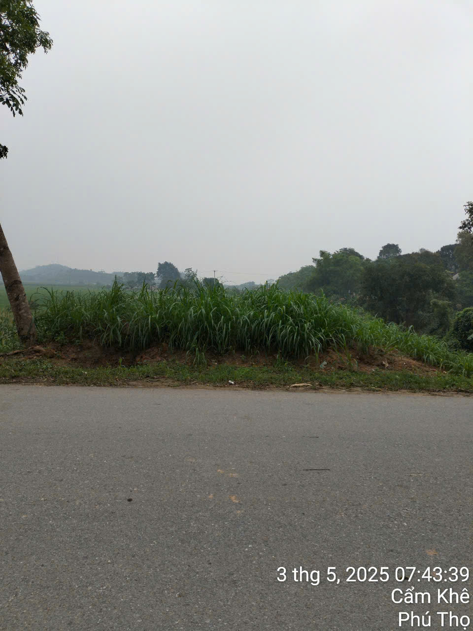 Chính chủ cần bán Nhanh Lô Đất Tại Khu Thượng Thọ - Xã Tuy Lộc – Cẩm Khê – Phú Thọ - Ảnh 2