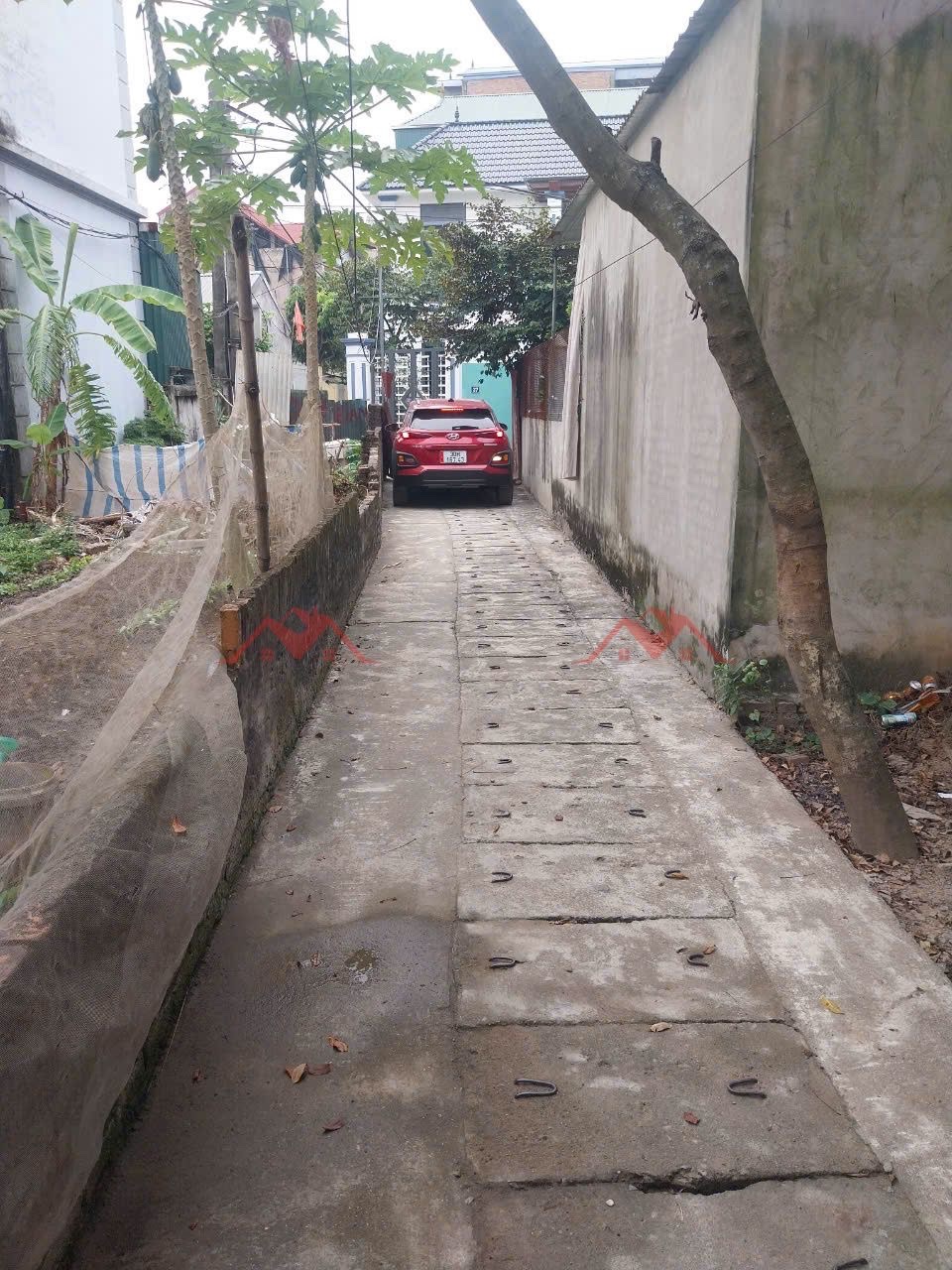 CHÍNH CHỦ BÁN LÔ ĐẤT 55,7M TẠI ĐỒNG MAI-HÀ ĐÔNG-HÀ NỘI - Ảnh 1
