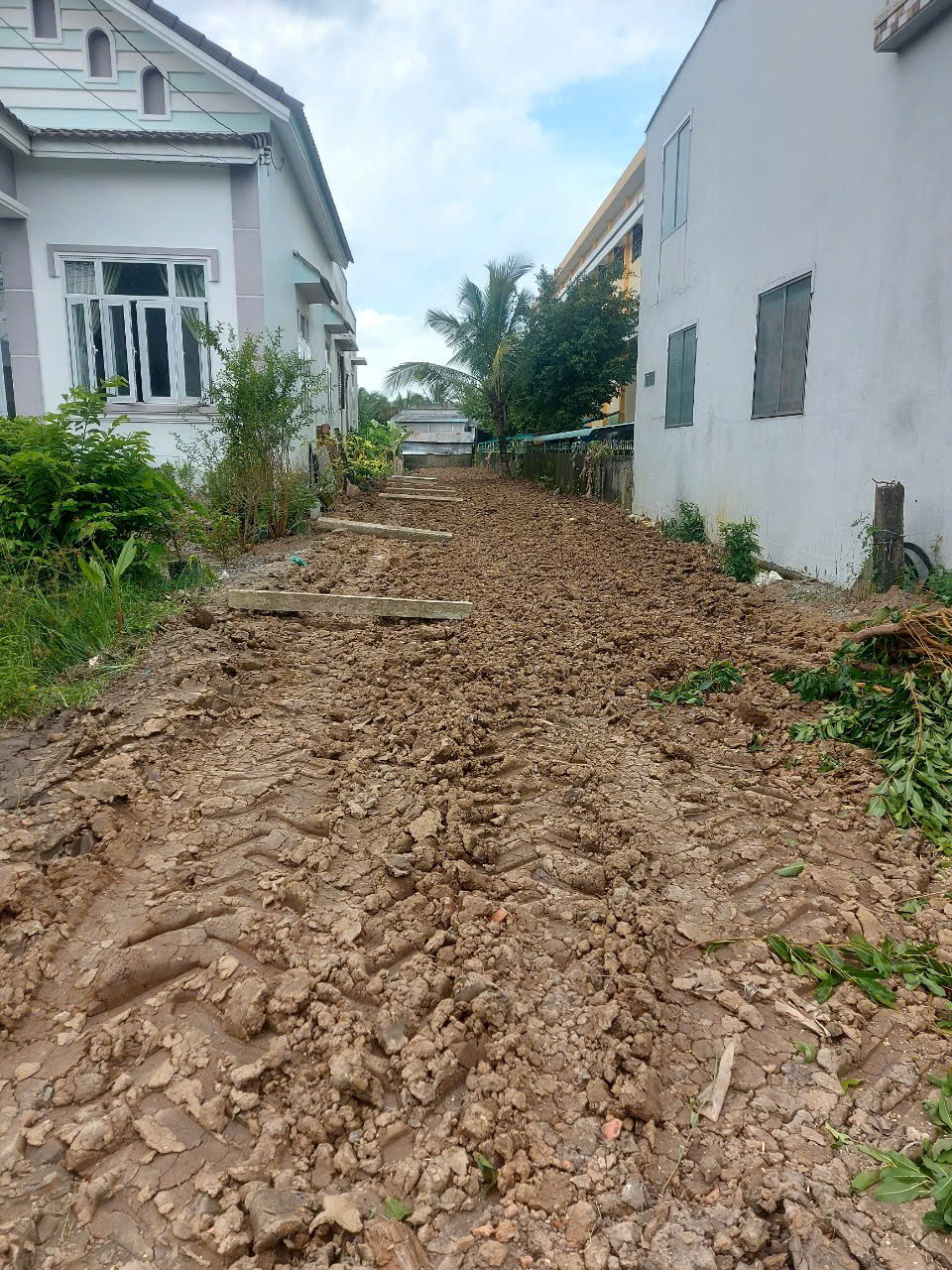 Chính chủ cần bán đất đường huyện 12b- Thị Trấn Vĩnh Bình- Huyện Gò Công Tây- Tiền Giang - Ảnh chính