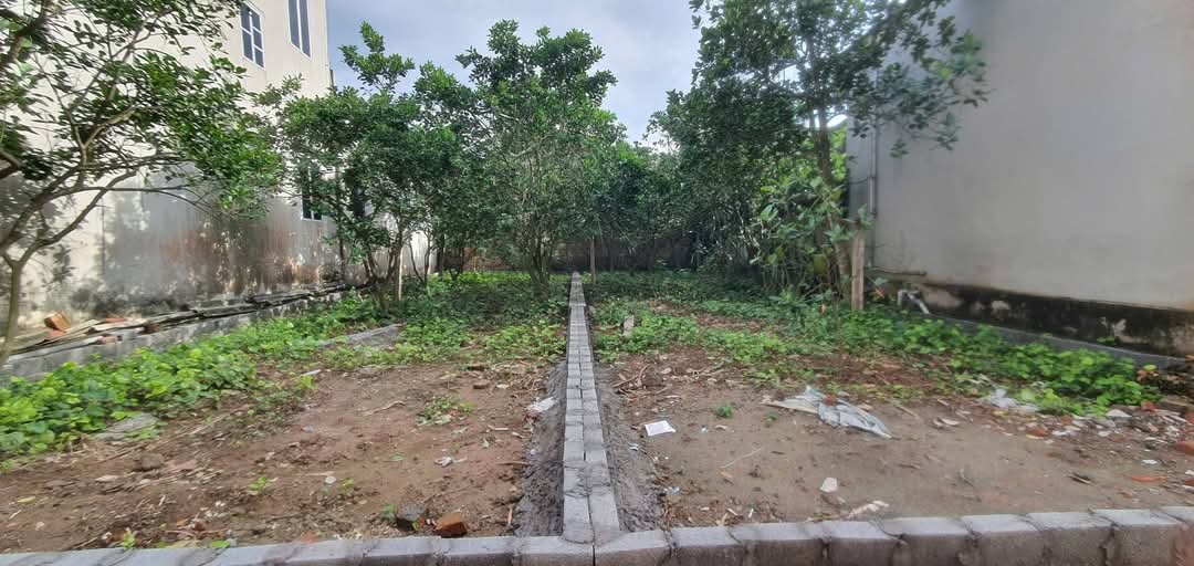 B,ÁN ĐẤT THƯỜNG TÍN - Ảnh chính