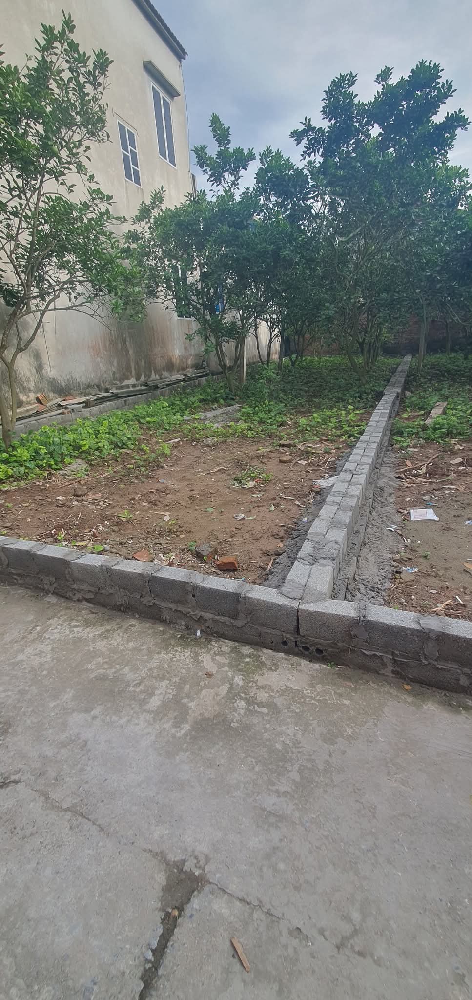 B,ÁN ĐẤT THỔ CƯ THƯỜNG TÍN - Ảnh chính