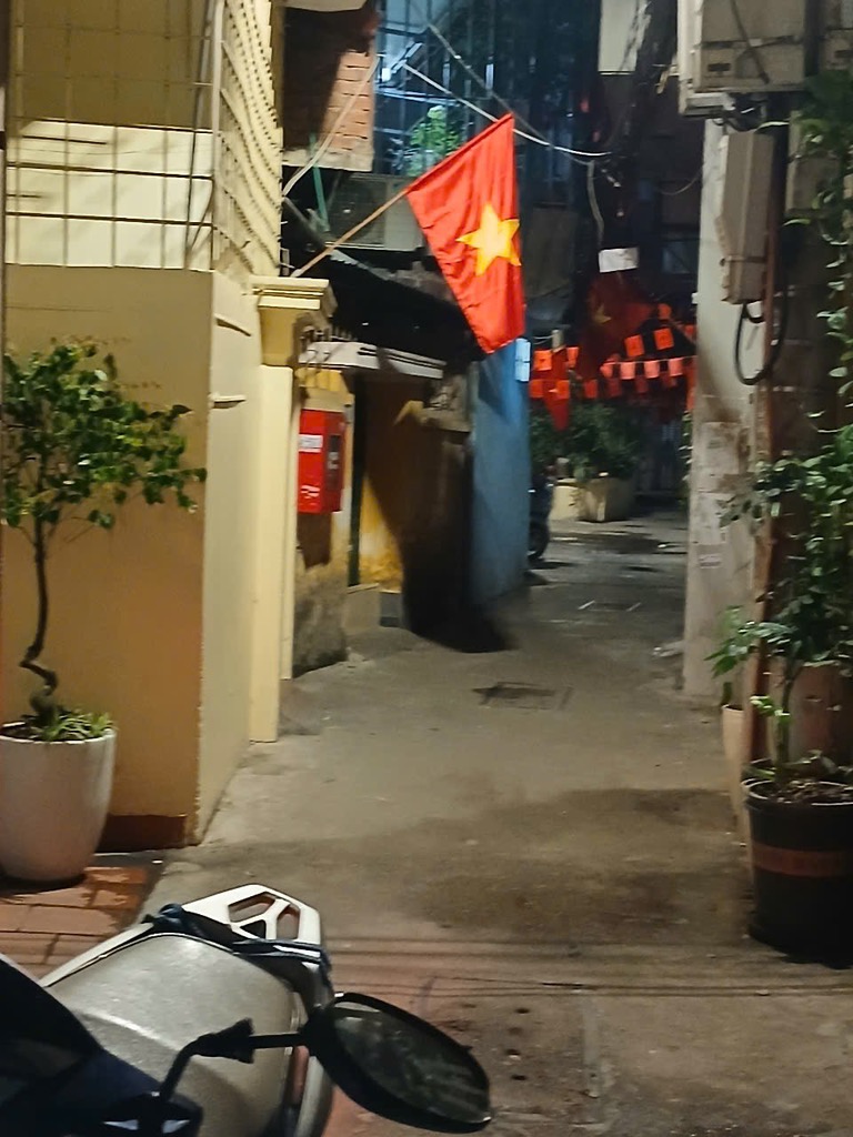 PHÁT HIỆN CỔ VẬT GIỮA LÕI ĐỐNG ĐA ẨN MÌNH TRONG PHỐ THÁI THỊNH – MẠCH ĐẤT NGÀN ĐỜI – AI Ở LÀ LÊN - Ảnh chính