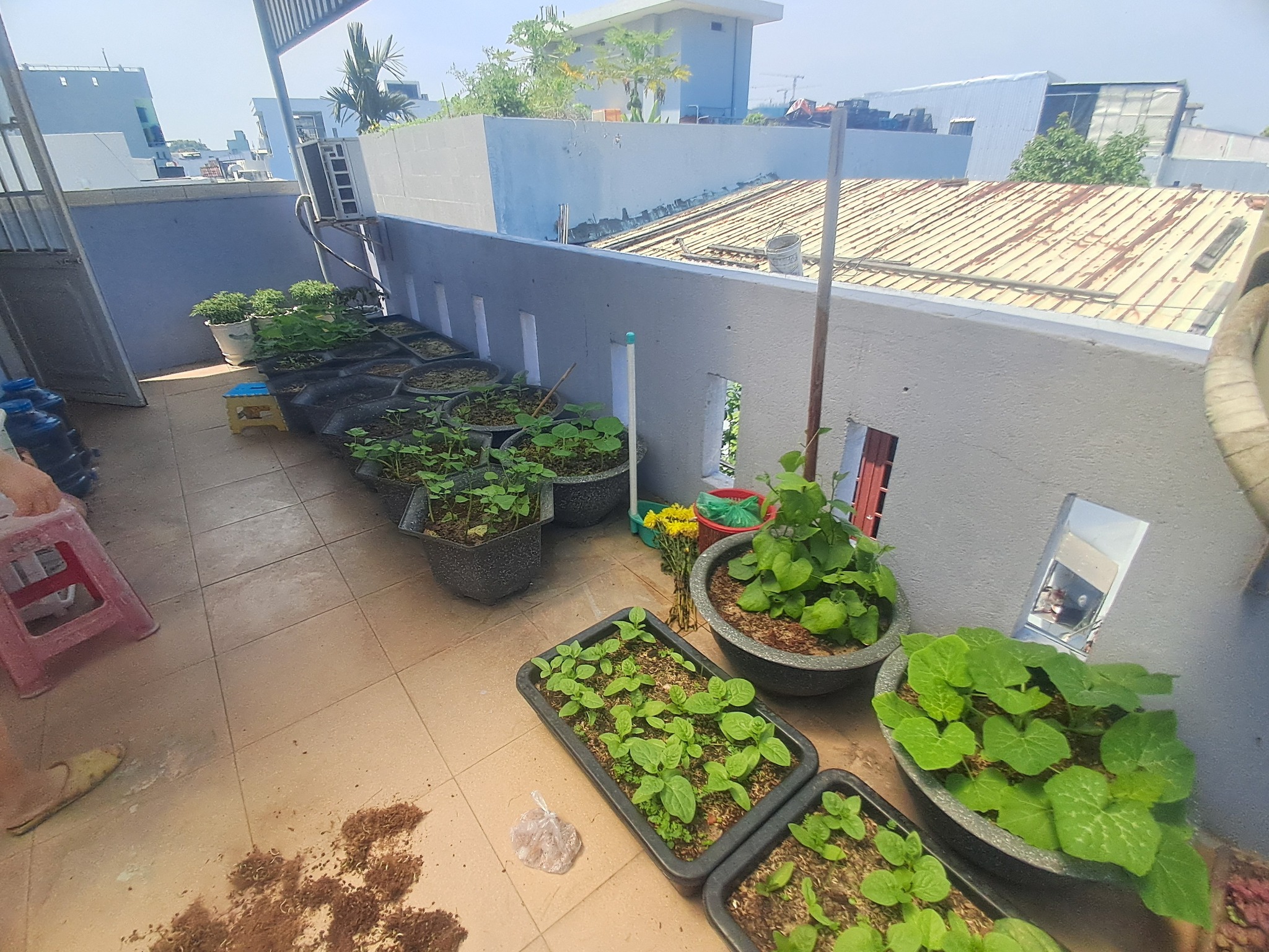 ♥ Nhà Kiệt 3m sát Nguyễn Tất Thành, 2.5 tầng đúc rộng thoáng, 2.85 tỷ - Ảnh 2