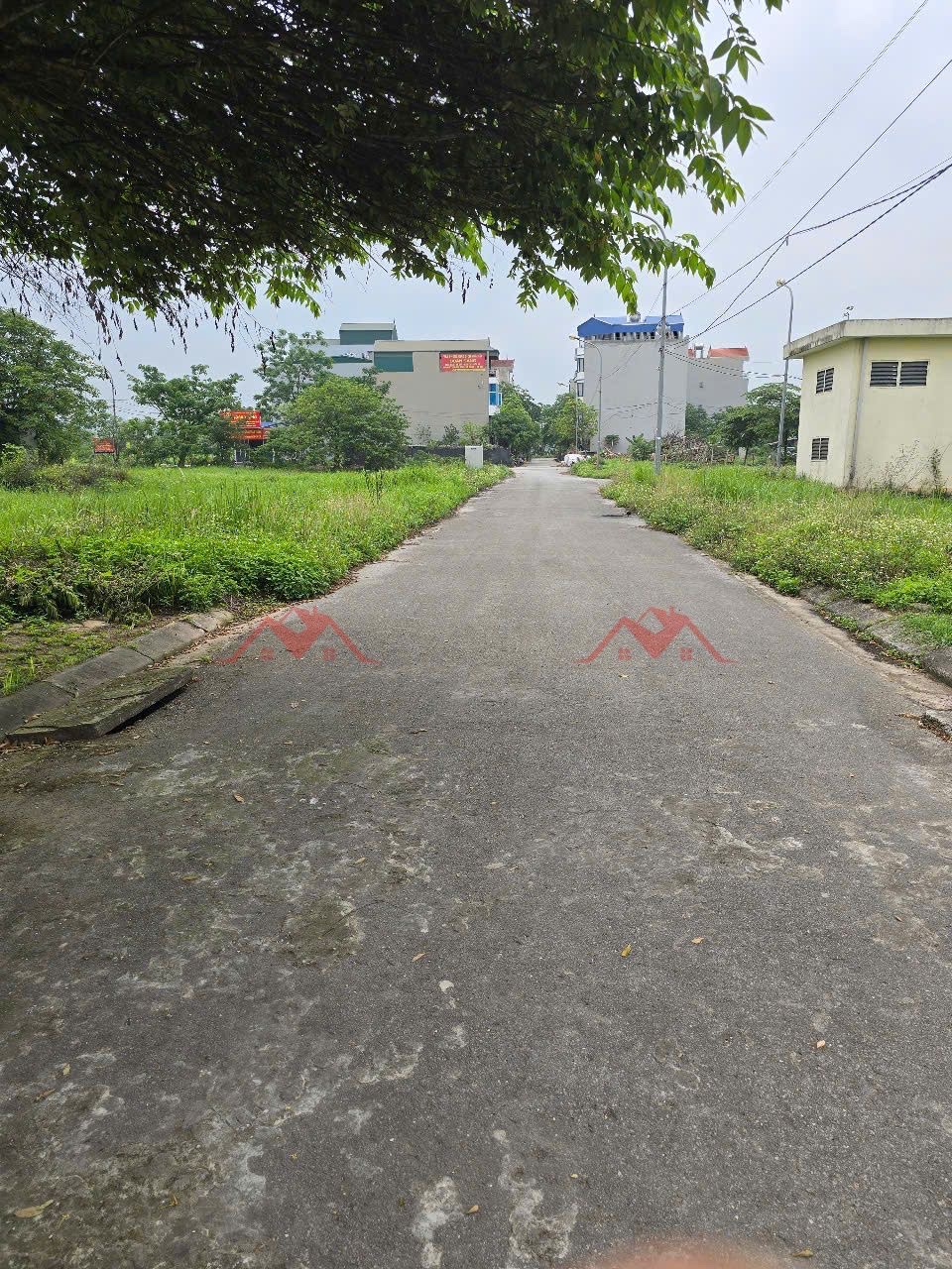 CHÍNH CHỦ BÁN LÔ ĐẤT 50M TẠI KHU ĐẤT DỊCH VỤ ĐỒNG MAI-HÀ ĐÔNG-HÀ NỘI - Ảnh 1