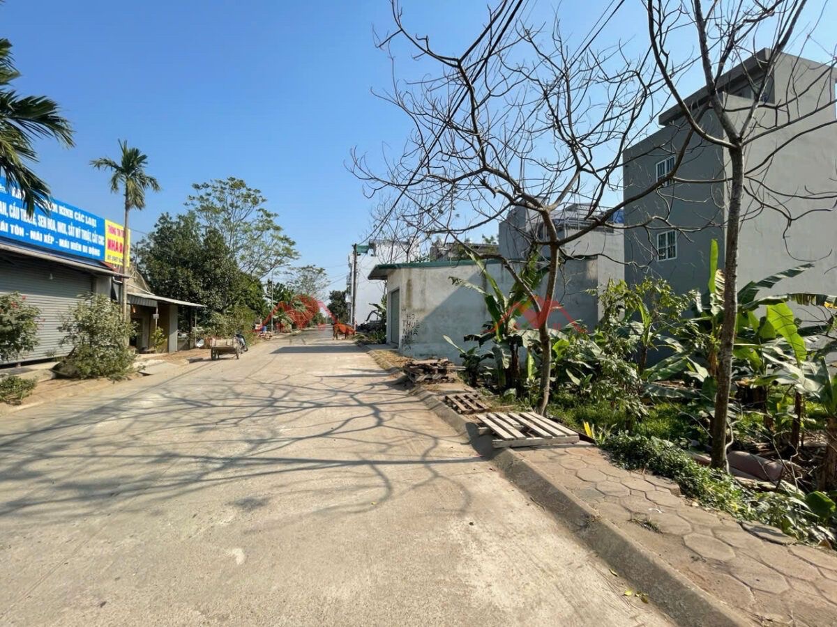 CHÍNH CHỦ BÁN LÔ ĐẤT 50M TẠI KHU ĐẤT DỊCH VỤ ĐỒNG MAI-HÀ ĐÔNG-HÀ NỘI - Ảnh 2