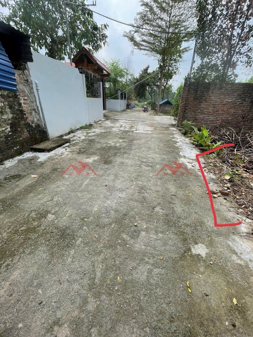 CHÍNH CHỦ BÁN LÔ ĐẤT 76,5M TẠI THỤY HƯƠNG-CHƯƠNG MỸ-HÀ NỘI - Ảnh 3