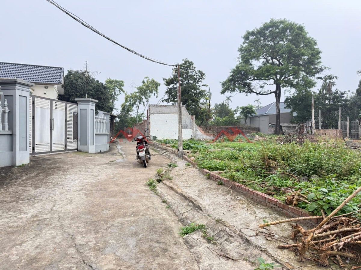 CHÍNH CHỦ BÁN LÔ ĐẤT 52M TẠI THANH BÌNH-PHƯỜNG CHƯƠNG MỸ-HÀ NỘI - Ảnh 1