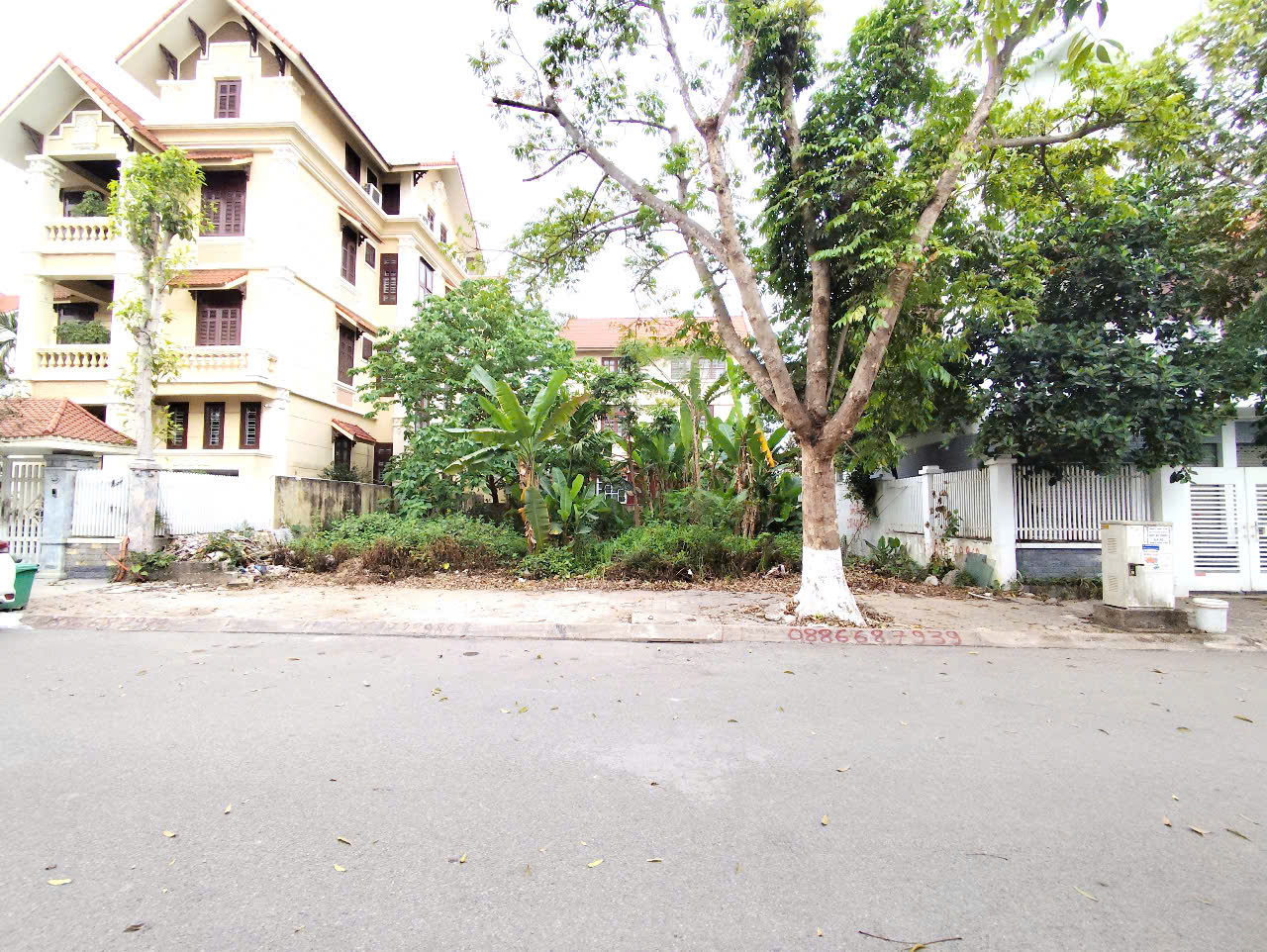 Đất phân lô biệt thự Sao Đỏ - 300m - Giá 40tr/m - gần ngay Cầu Rào - Ảnh chính