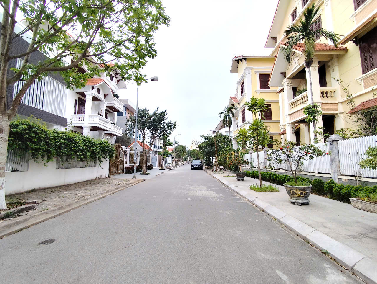 Đất phân lô biệt thự Sao Đỏ - 300m - Giá 40tr/m - gần ngay Cầu Rào - Ảnh 3