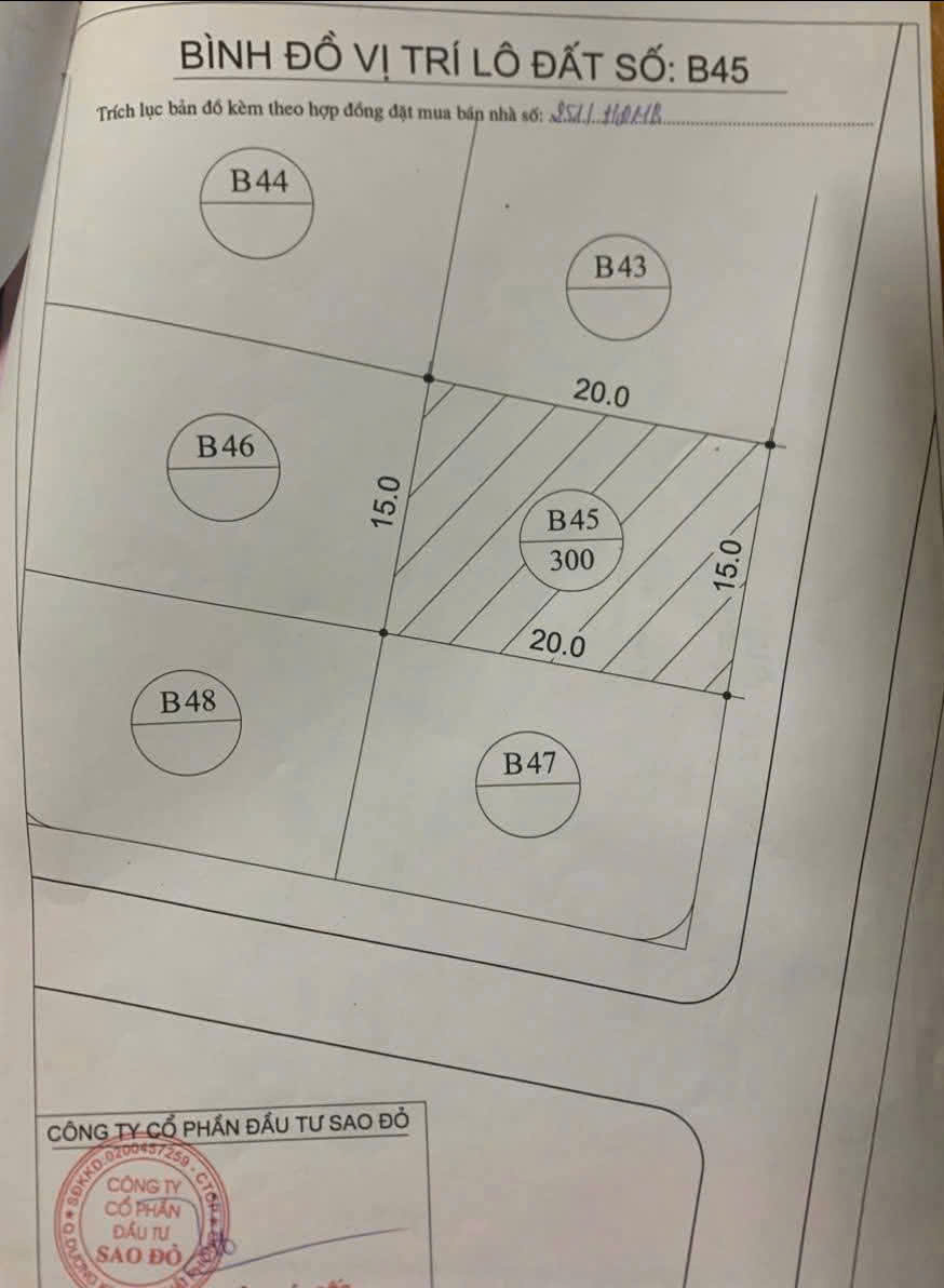 Đất phân lô biệt thự Sao Đỏ - 300m - Giá 40tr/m - gần ngay Cầu Rào - Ảnh 4