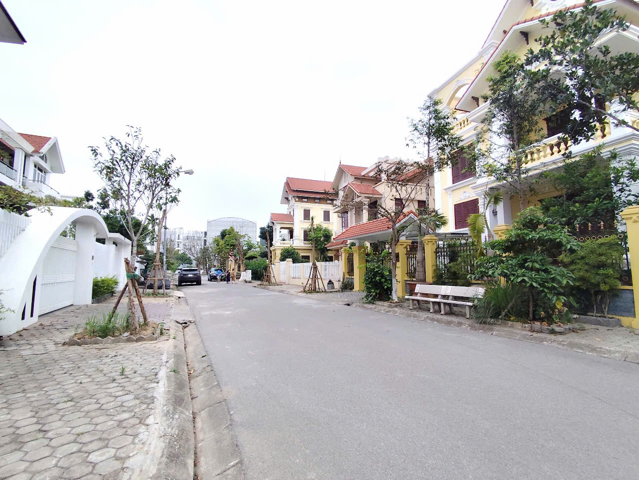 Đất phân lô biệt thự Sao Đỏ - 300m - Giá 40tr/m - gần ngay Cầu Rào - Ảnh 2