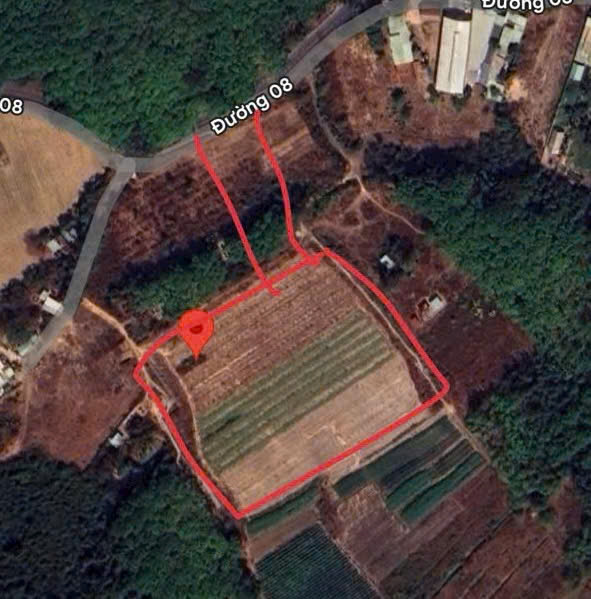Bán đất 15.172m² Vĩnh Tân, Tân Uyên, Bình Dương – 12.500m² SKC, có GPXD, GPMT, PCCC, giá 3.5tr/m². - Ảnh 3