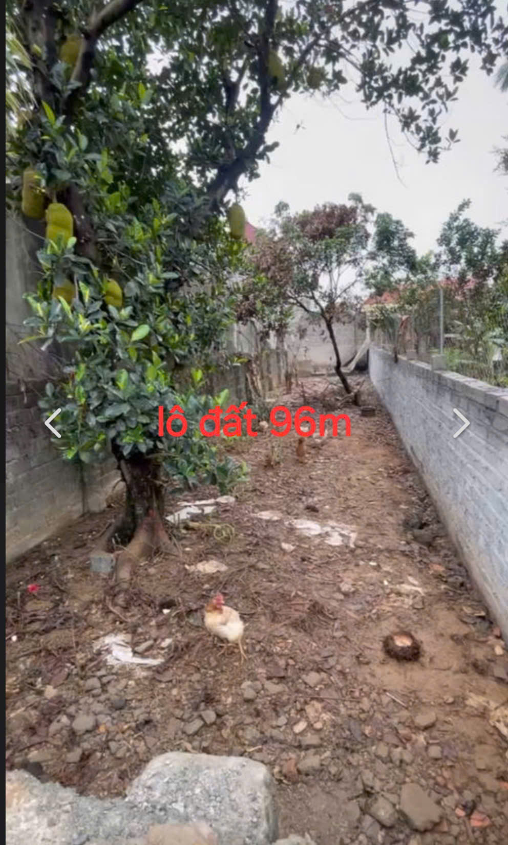 BÁN LÔ ĐẤT ĐẸP XÃ HOÀNG VĂN THỤ, CHƯƠNG MỸ-96M-GIÁ 1.8X TỶ - Ảnh 1