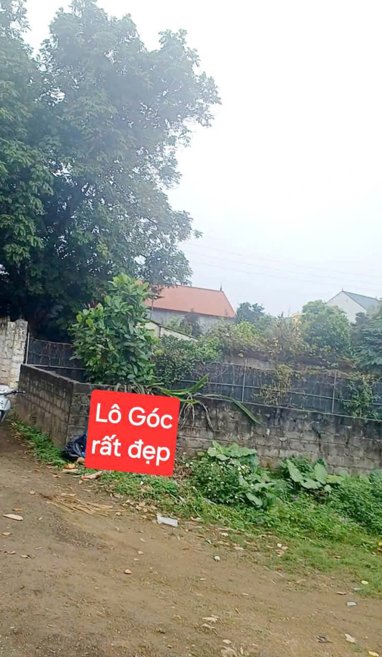 BÁN LÔ ĐẤT XÃ HOÀNG VĂN THỤ, CHƯƠNG MỸ-95.8M-GIÁ 1.15 TỶ - Ảnh 2