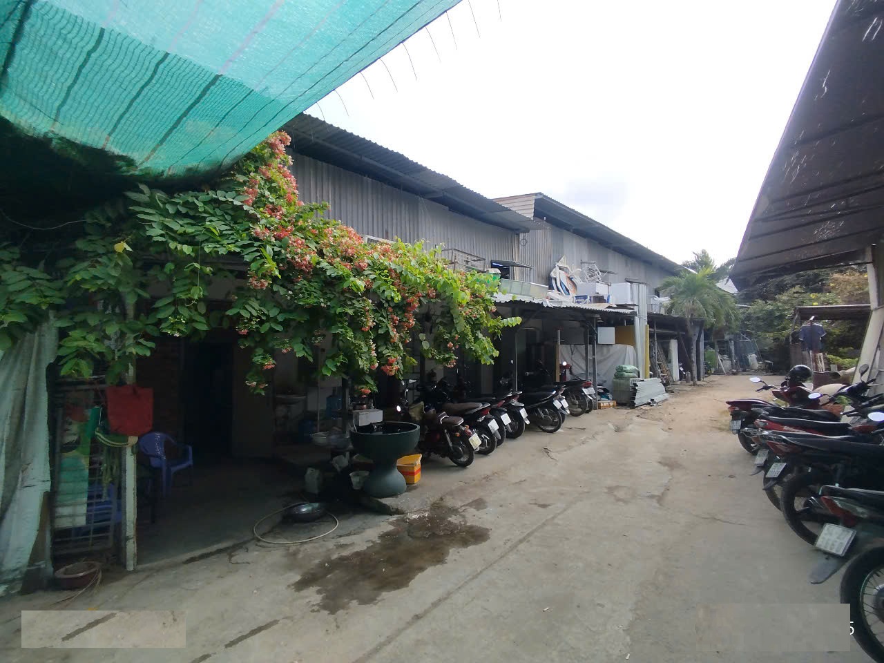 Bán Nhà Cấp 4, Đường Trần Xuân Soạn - Nguyễn Văn Cừ, 7586m2 full thổ, 69x112m, 730 tỷ. - Ảnh 4