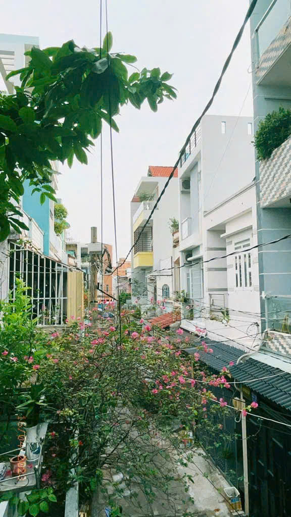 KHU VIP VƯỜN LÀI - PHAN THỊ HÀNH - PHÚ THỌ HOÀ - NHÀ 2 TẦNG MỚI ĐẸP - SỔ VUÔNG VỨC HOÀN CÔNG ĐỦ - Ảnh 5