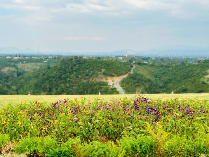 ĐẤT SIÊU ĐẸP - GIÁ ĐẦU TƯ  Cần Bán Lô Đất Vị Trí Đẹp Khu Đồi Săn Mây Tại Tân Lạc, Bảo Lâm, Lâm Đồng - Ảnh 1