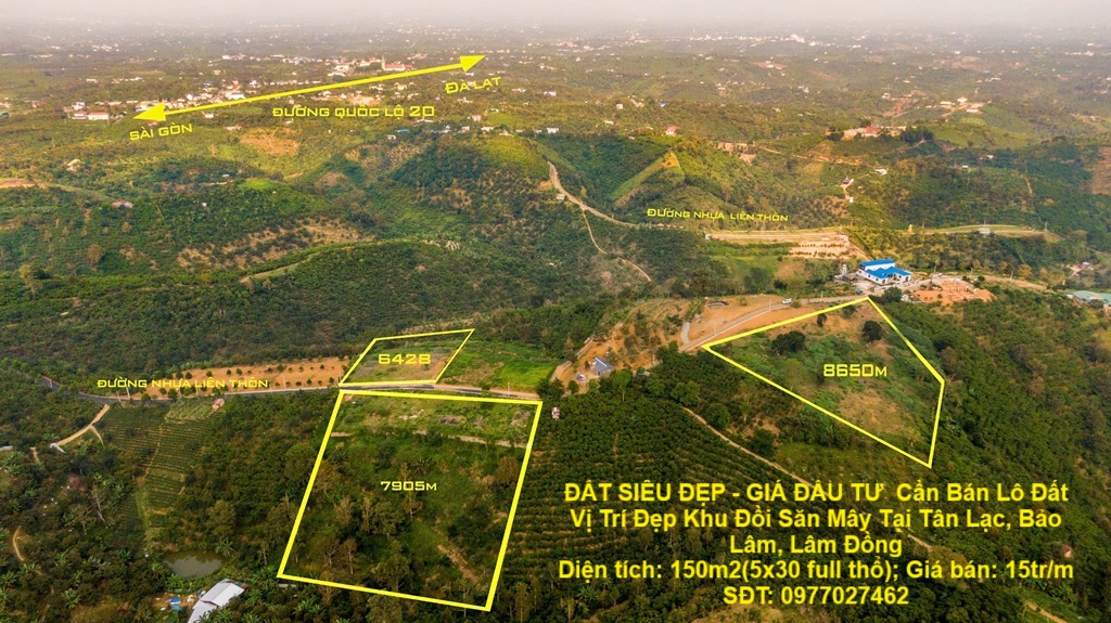 ĐẤT SIÊU ĐẸP - GIÁ ĐẦU TƯ  Cần Bán Lô Đất Vị Trí Đẹp Khu Đồi Săn Mây Tại Tân Lạc, Bảo Lâm, Lâm Đồng - Ảnh chính