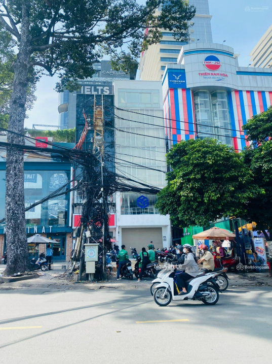 Chủ ngộp bank ra gấp toà nhà văn phòng, Lý Thường Kiệt, Tân Bình, 8 x 30m = 240m2, 85 tỷ. - Ảnh chính