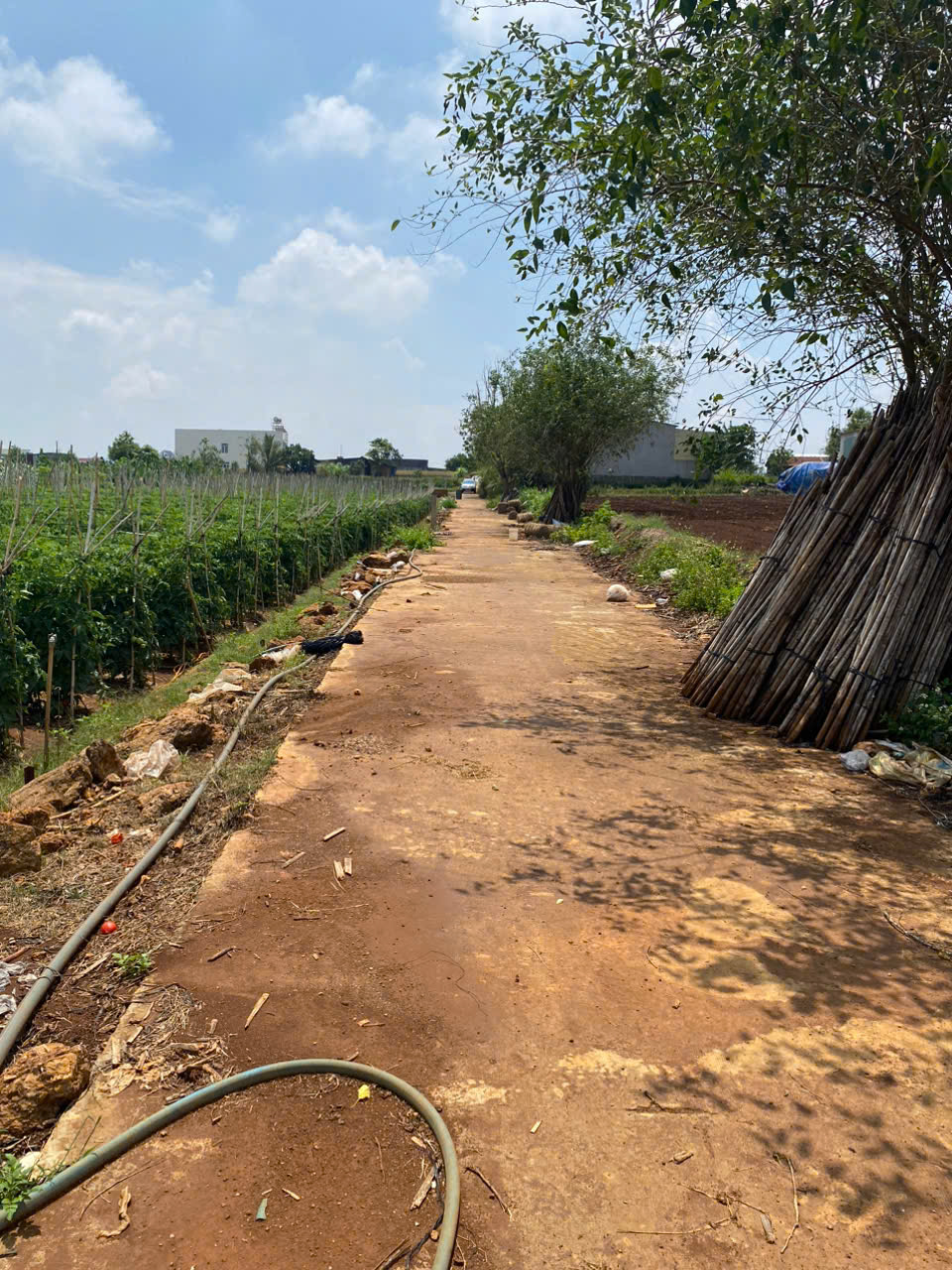 BÁN 380,4m2 TỔ 34 ĐƯỜNG LÊ HỒNG PHONG NỐI DÀI - THỊ TRẤN LIÊN NGHĨA -ĐỨC TRỌNG -LÂM ĐỒNG - Ảnh 2