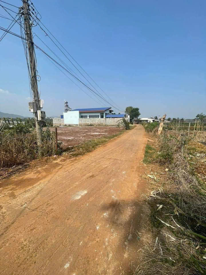 BÁN 483,5m2 ĐẤT XÃ LIÊN HIỆP - ĐỨC TRỌNG - LÂM ĐỒNG . - Ảnh 3