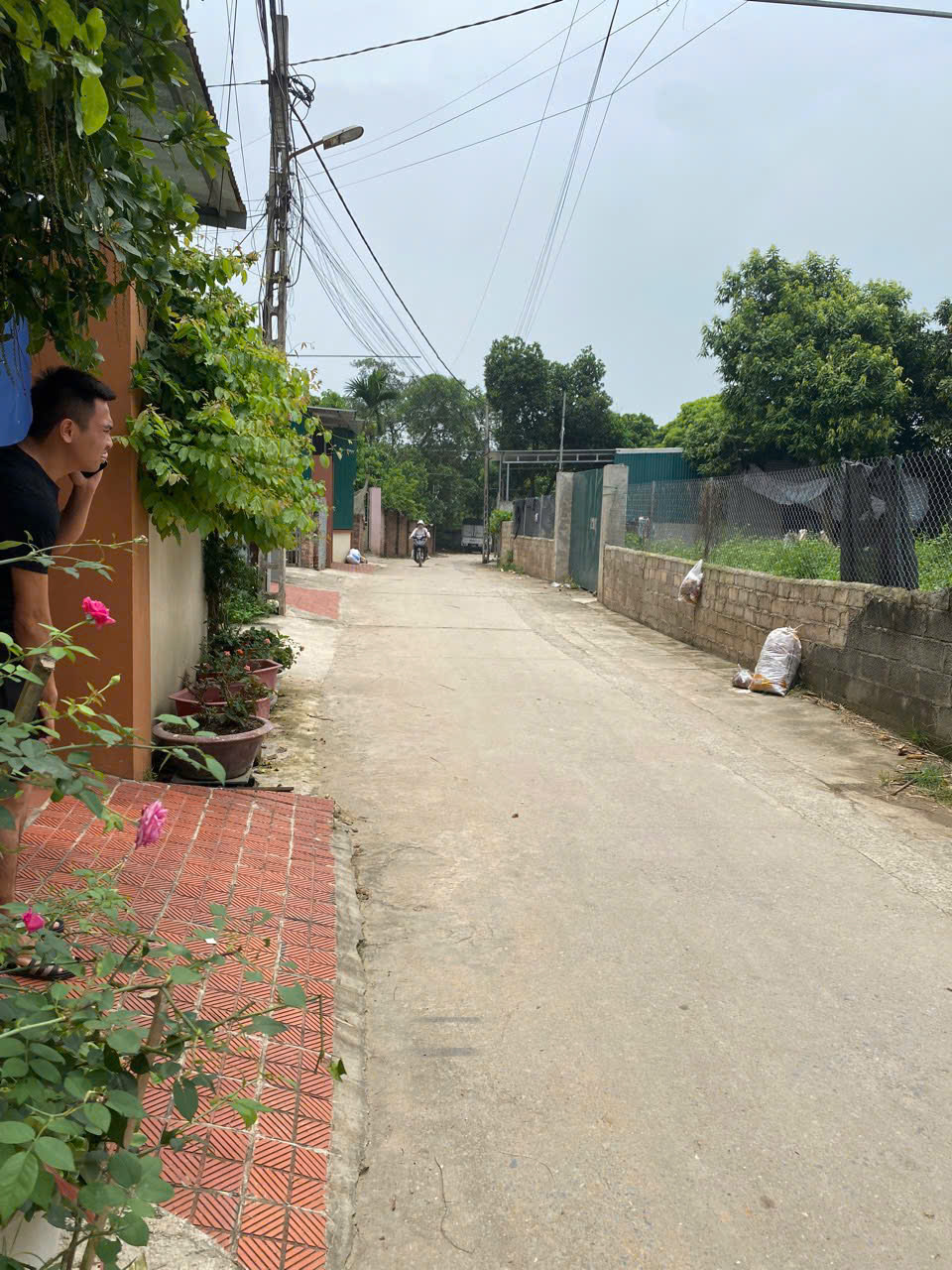CC cần bán lô đất 462m tại đông phương yên chương mỹ hà nội - Ảnh 3