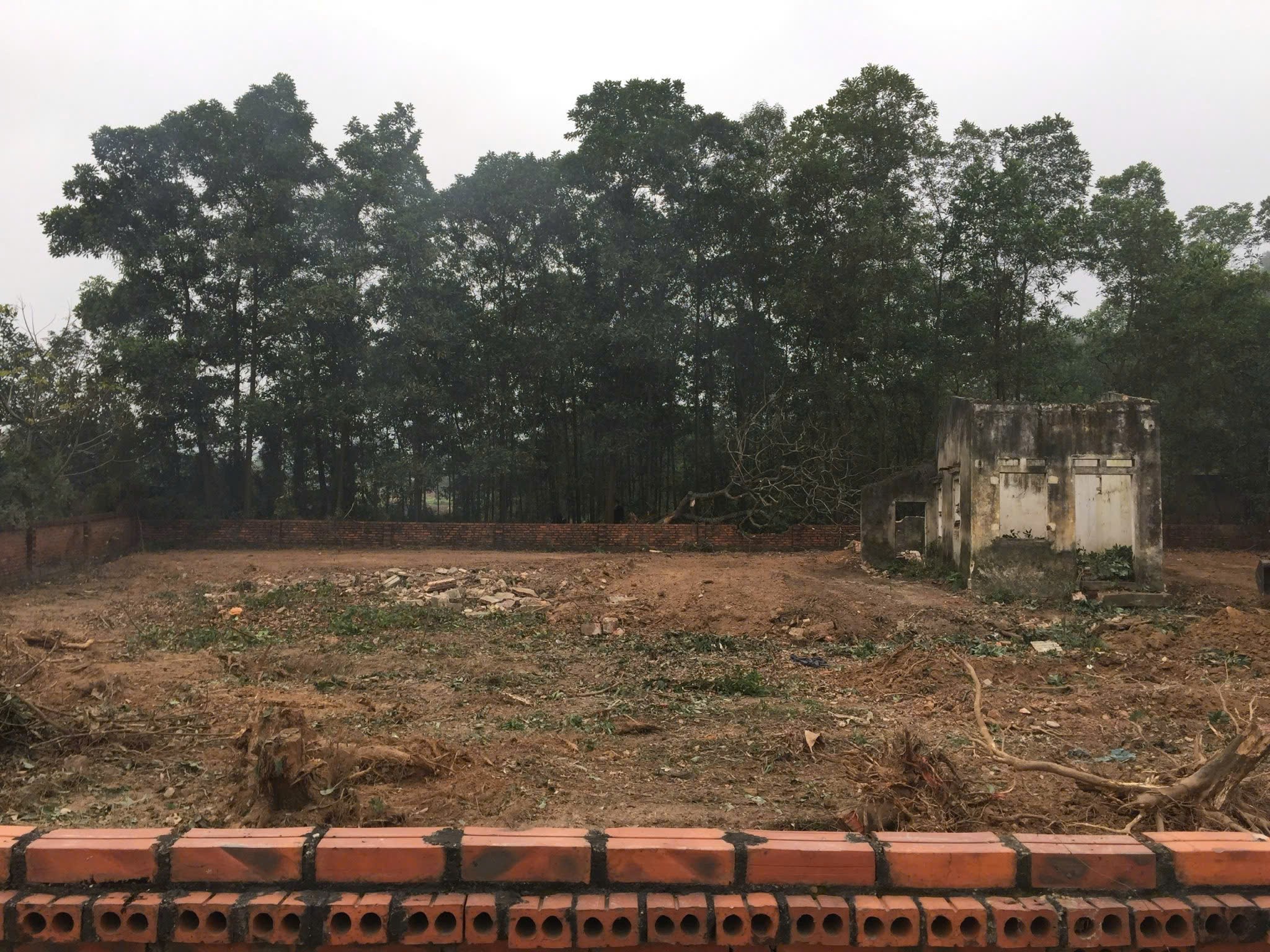 ĐẤT ĐẸP - GIÁ SIÊU HỜI - Chính chủ cần Bán Nhanh 5 Lô Đất Nền tại Tân Lộc, Hồng Kỳ, Sóc Sơn, Hà Nội - Ảnh 4