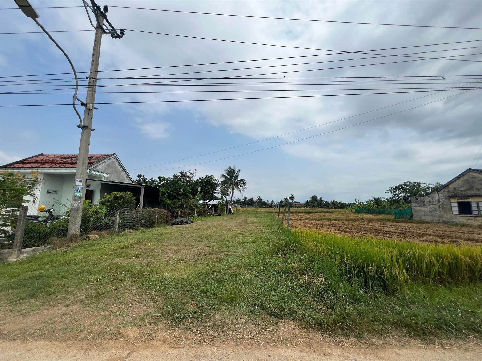 ĐẤT ĐẸP – GIÁ TỐT -  Cần Bán Nhanh Lô Đất Tại Thôn Xuân Phong, Xã Ninh Thọ, TX. Ninh Hòa, Khánh Hòa - Ảnh chính