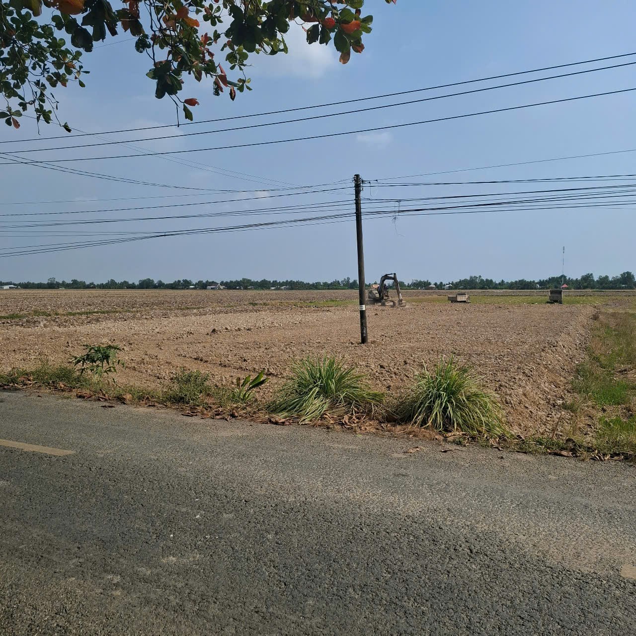 ĐẤT ĐẸP - ĐẦU TƯ SINH LỜI- CHÍNH CHỦ Cần Bán Nhanh Lô Đất tại Xã Đông Yên, An Biên, Kiên Giang - Ảnh 2