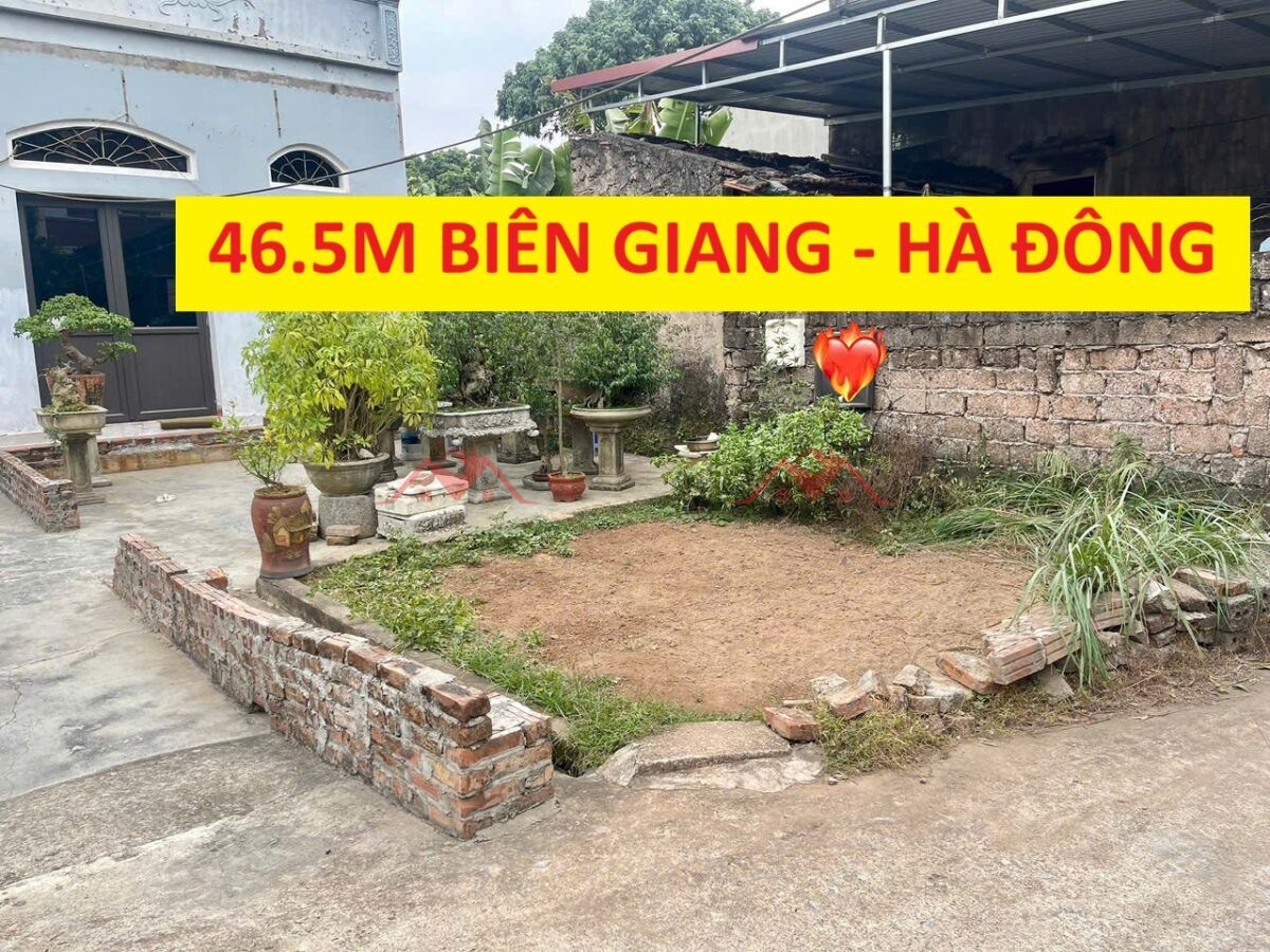 CHÍNH CHỦ BÁN LÔ ĐẤT 46,5M TẠI BIÊN GIANG-HÀ ĐÔNG-HÀ NỘI - Ảnh chính