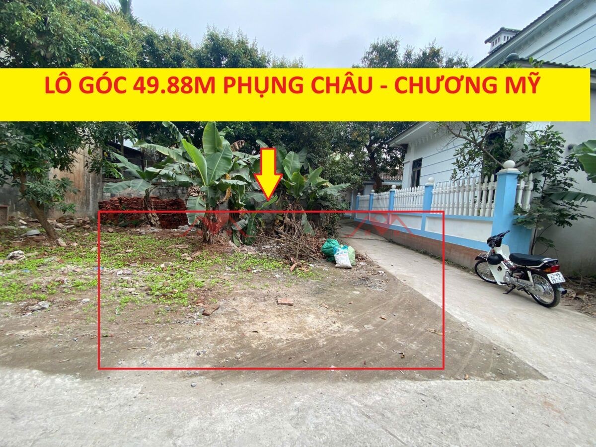 CHÍNH CHỦ BÁN LÔ ĐẤT 49.88M TẠI PHỤNG CHÂU-CHƯƠNG MỸ-HÀ NỘI - Ảnh chính