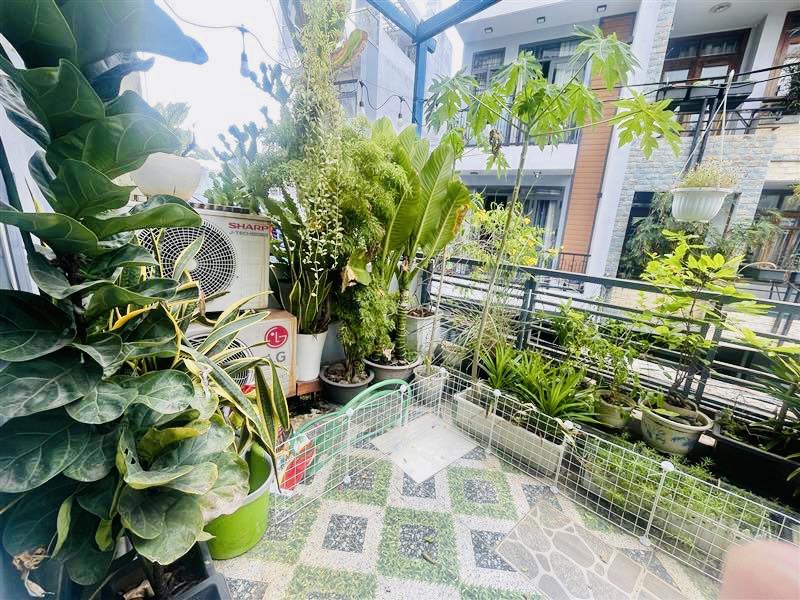 TÂY THẠNH - NHÀ 4 TẦNG - HXH 8M - 6PN - 62M² - CHỈ HƠN 8 TỶ - Ảnh 3