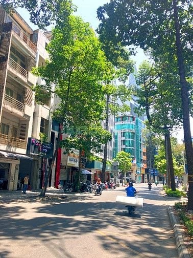Bán Nhà Mặt Tiền Đường Nguyễn Công Trứ, P. Nguyễn Thái Bình, Q.1 - 85 Tỷ (4.45 x 21.3m) - Ảnh 4