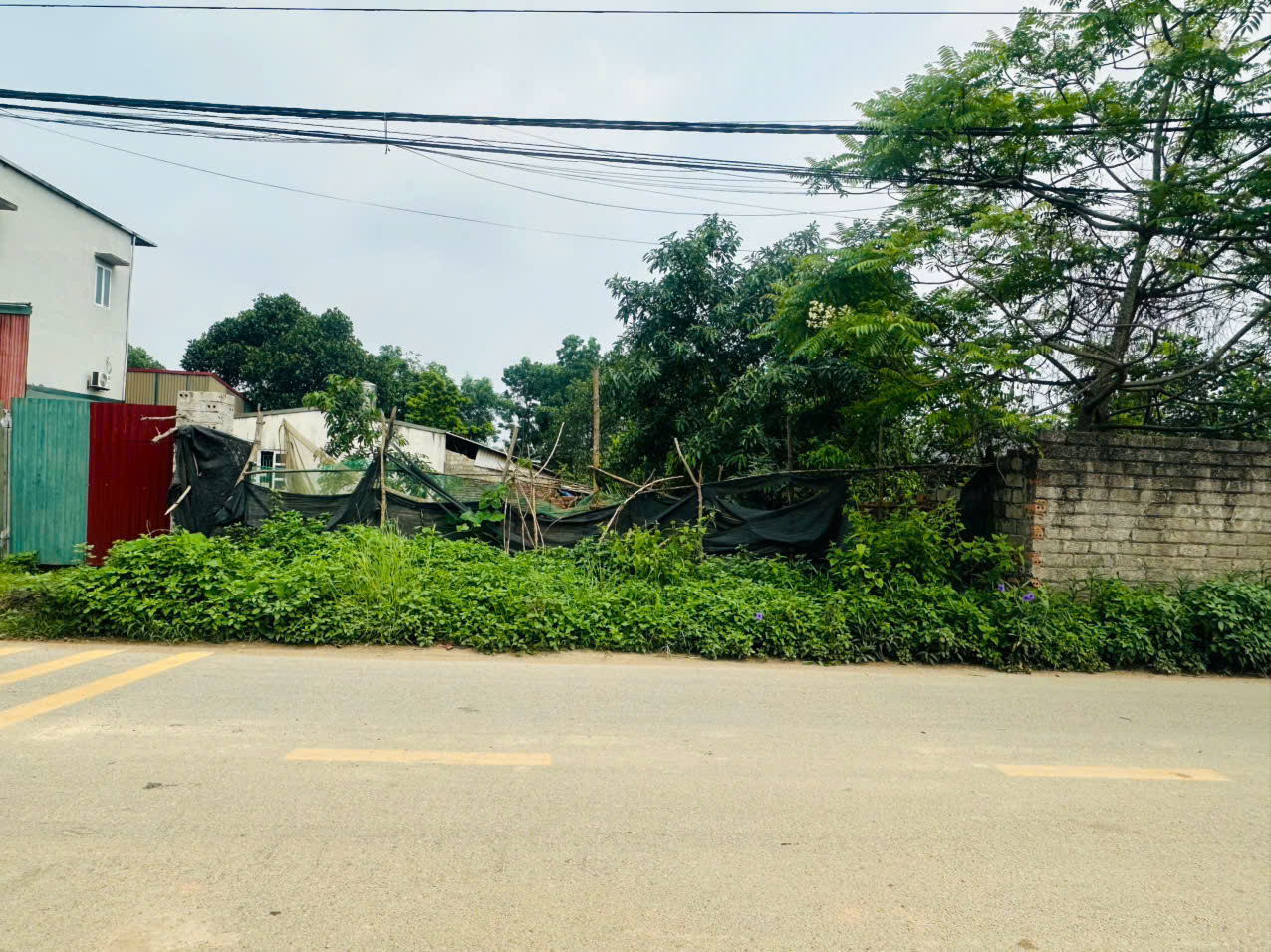 144M2 FULL ĐẤT Ở, GIÁ LOANH QUANH 3 TỶ - Ảnh 3