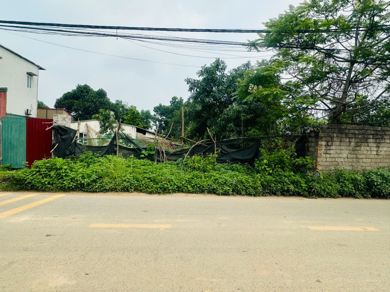 144M2 FULL ĐẤT Ở, GIÁ LOANH QUANH 3 TỶ - Ảnh 4