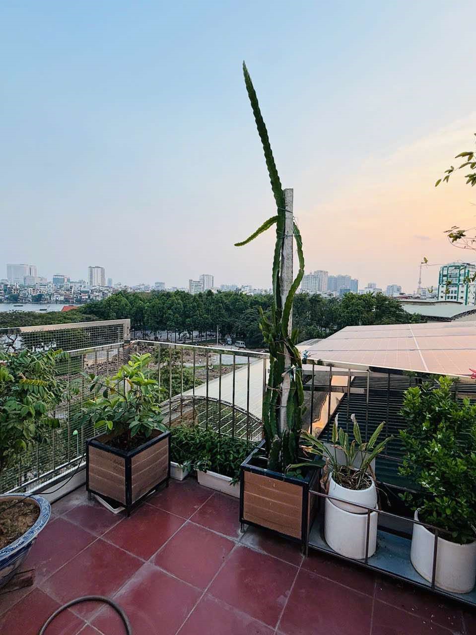 BÁN NHÀ THANH NHÀN, HAI BÀ TRƯNG, 1 NHÀ RA PHỐ, 6T THANG MÁY, 38M2, 11.9TỶ(CTL) - Ảnh 4