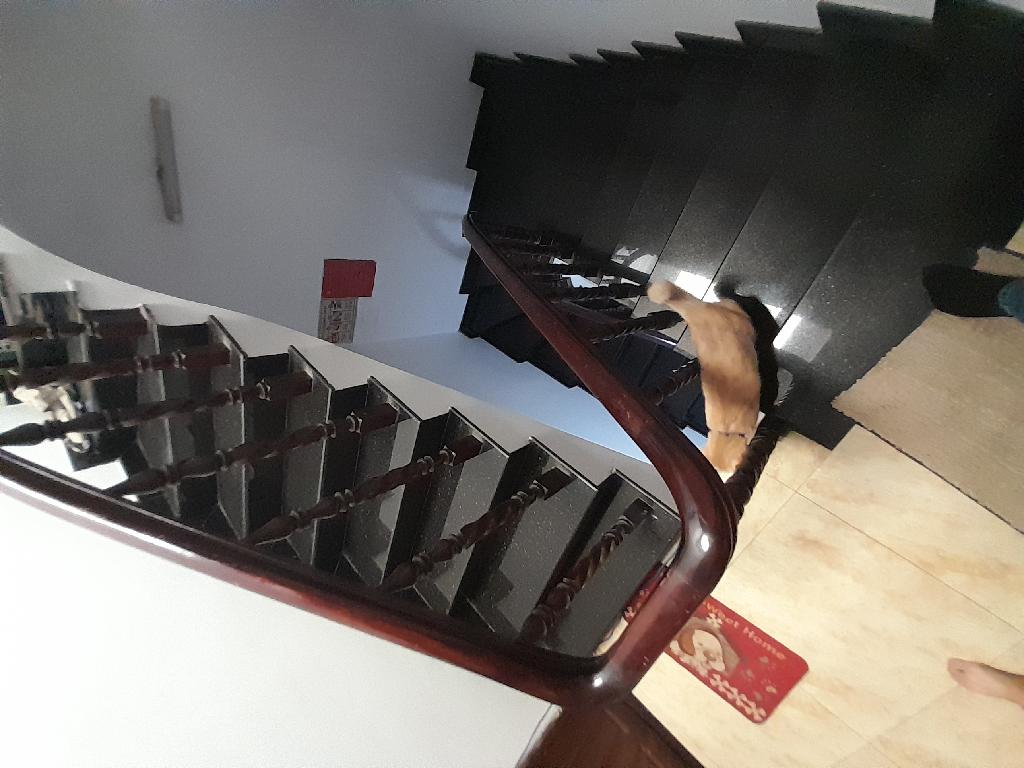 Bán nhà riêng 52.5m2, ngang 5 m, Phạm Hùng, 8 tỷ, 4PN, 3WC, 3 tầng - Ảnh 2