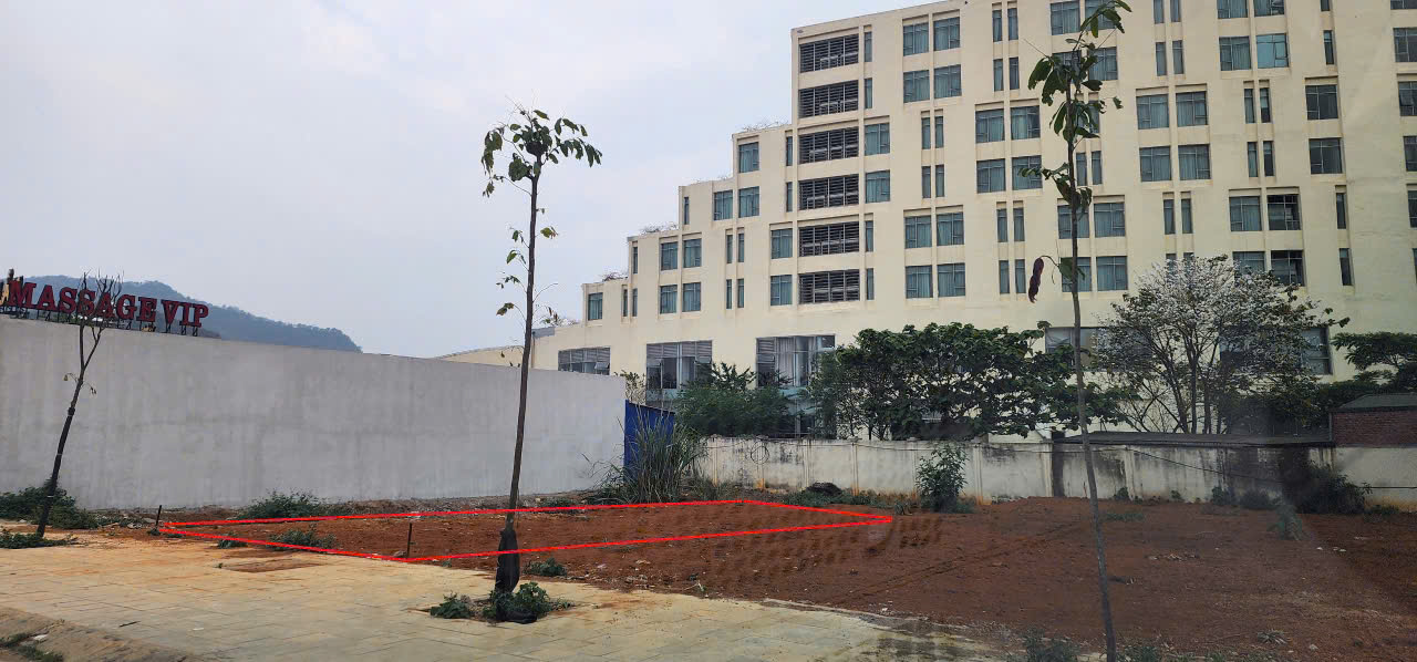 CHÍNH CHỦ CẦN BÁN ĐẤT Ở Thị trấn Nông trường Mộc Châu- H.  Mộc Châu- T.Sơn La  130m2 sau Khách sạn - Ảnh 1