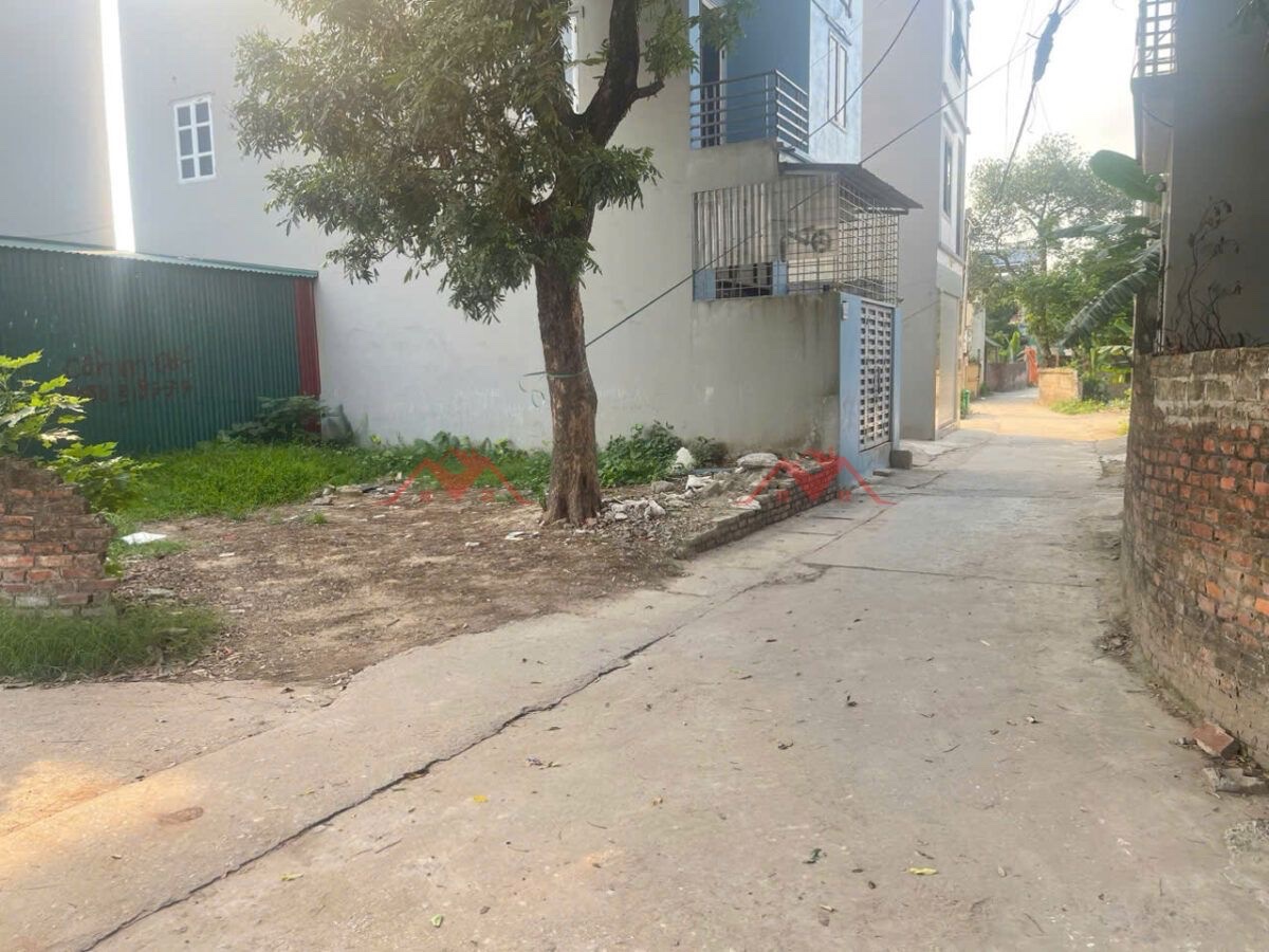 CHÍNH CHỦ BÁN LÔ ĐẤT 120M TẠI PHỤNG CHÂU-CHƯƠNG MỸ-HÀ NỘI - Ảnh 1