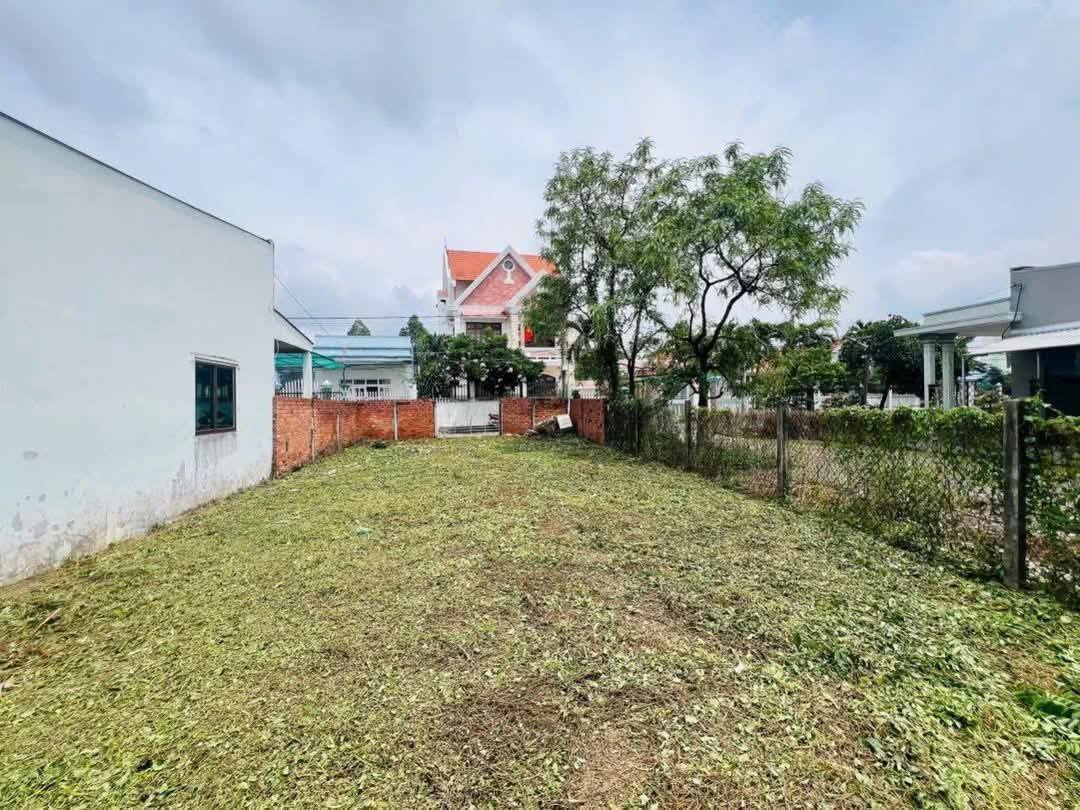 🔥 BÁN GẤP ĐẤT MẶT TIỀN KHU PHỐ 3 - THỊ TRẤN CẦN GIUỘC - XE HƠI ĐỖ CỬA - VỊ TRÍ ĐẮC ĐỊA - Ảnh chính