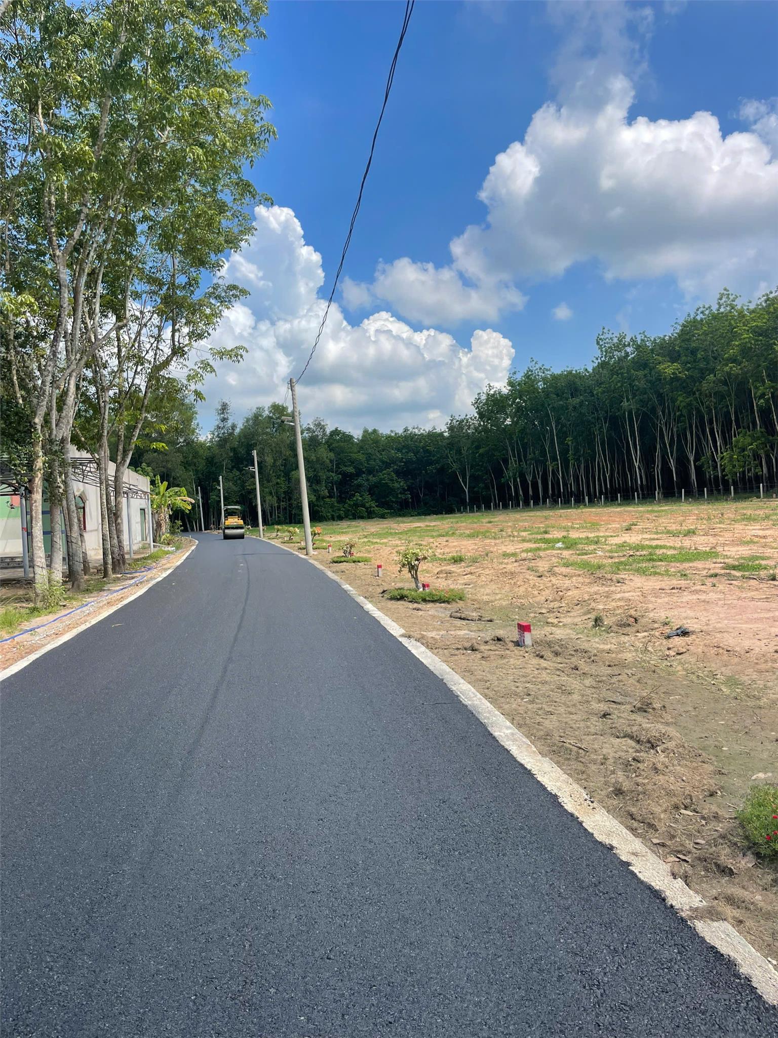 ĐẤT DẦU TIẾNG BÌNH DƯƠNG 300TR. ( 250M CÓ 100TC ) - Ảnh chính