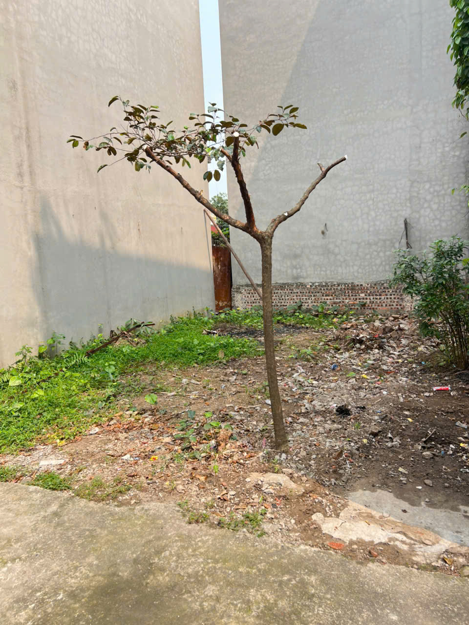 Bán đất tổ 7, Quang Minh, Mê Linh. Gần đường Võ Văn Kiệt và khu công nghiệp - Ảnh chính