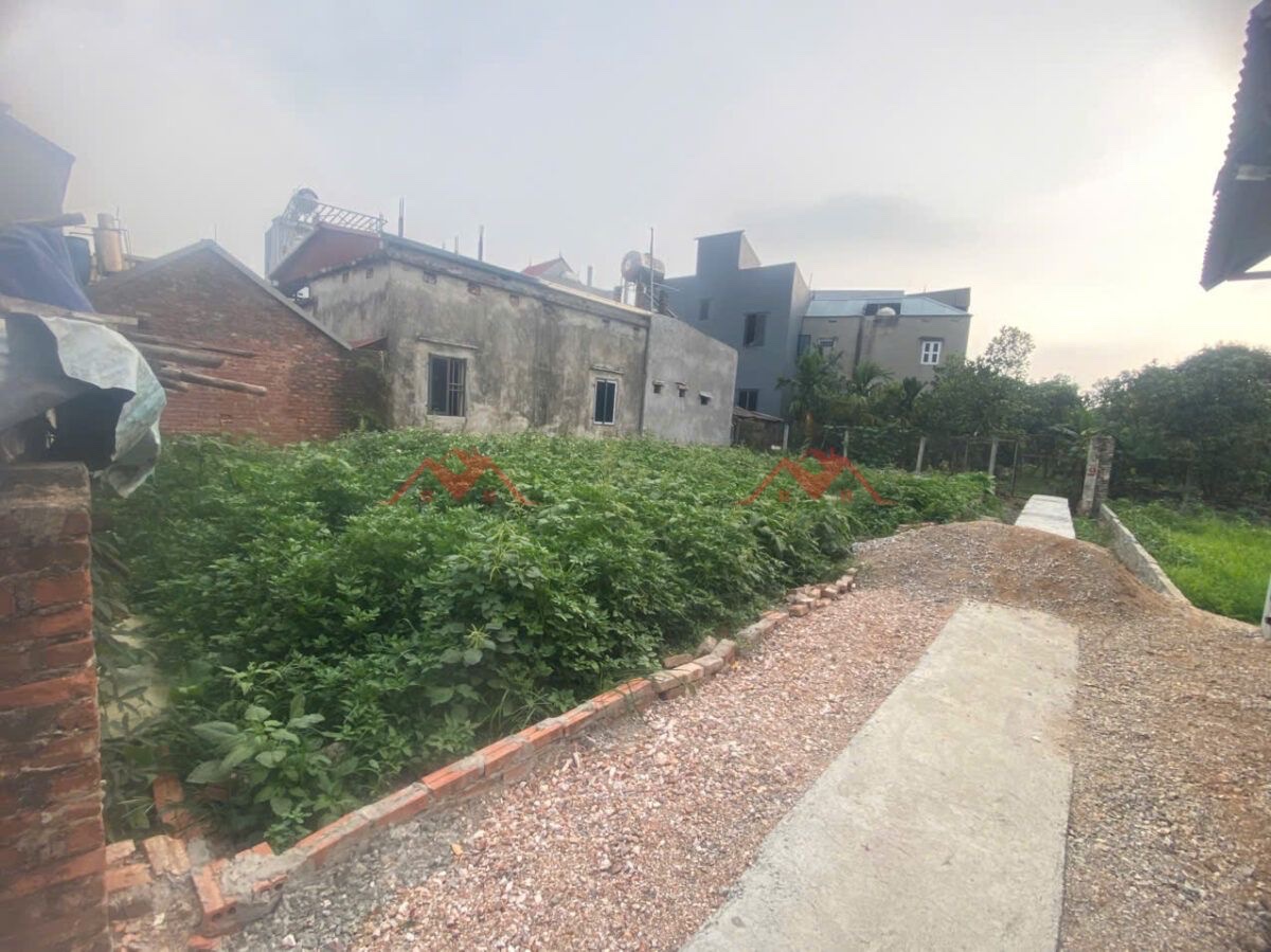 CHÍNH CHỦ BÁN LÔ ĐẤT 193M TẠI ĐẠI YÊN-CHƯƠNG MỸ-HÀ NỘI - Ảnh 3