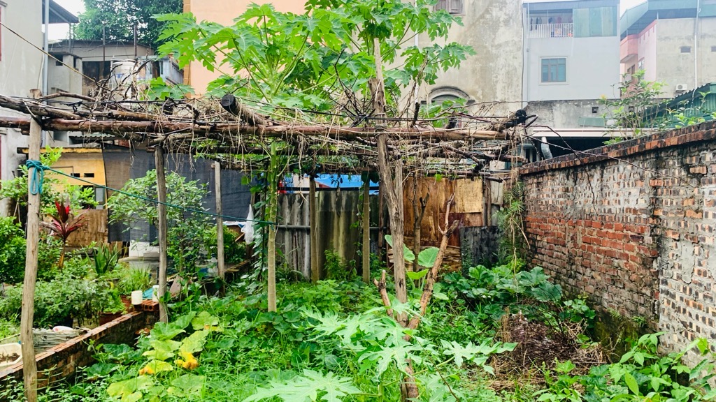 Hà Nội - Đất Cán Khê - Nguyên Khê - Đông Anh 70m 4,65 tỷ MT 5m - Ảnh 2