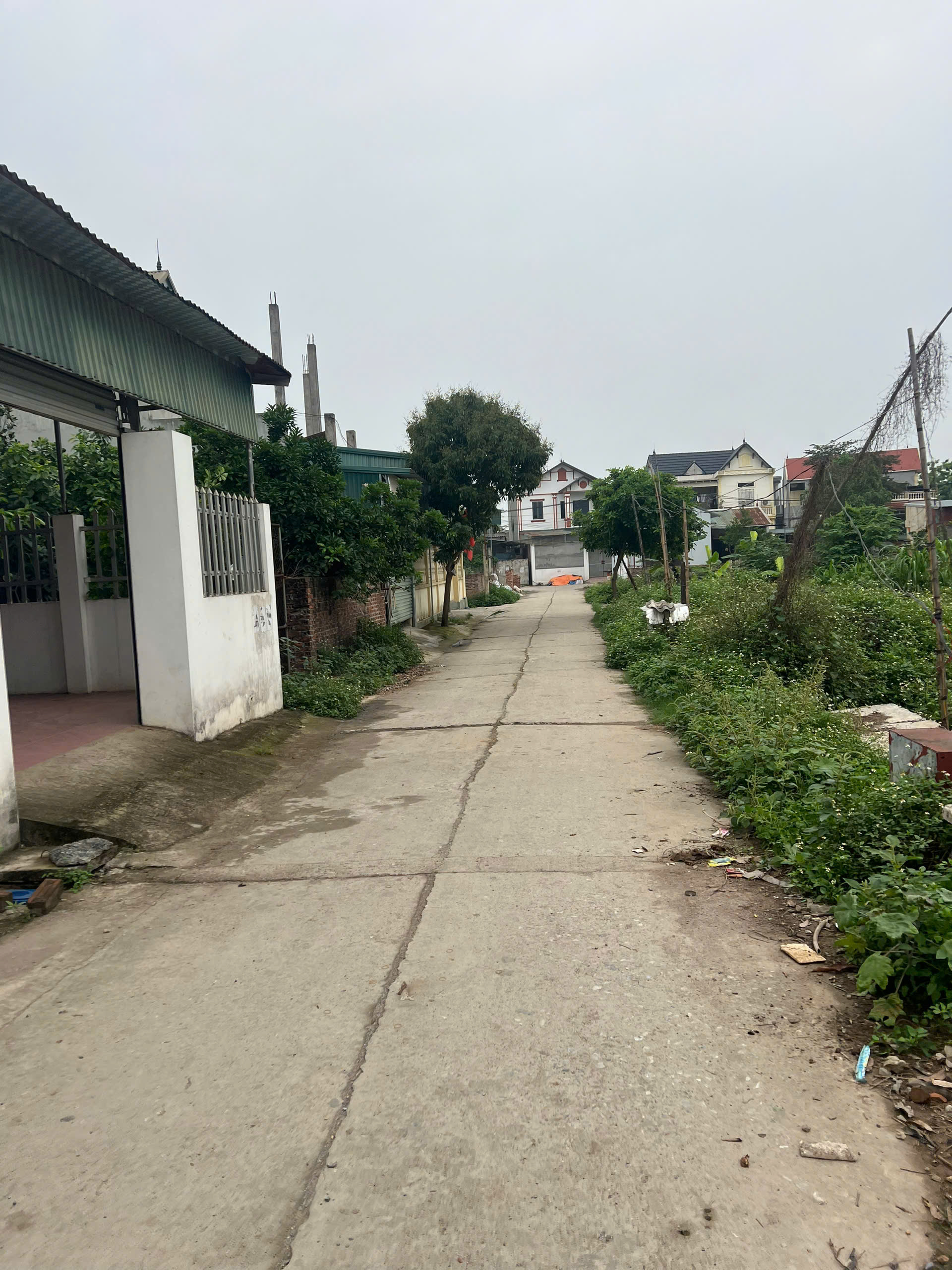 CC cần bán lô đất 90m full thổ cư tại phú nghĩa chương mỹ hà nội - Ảnh 1