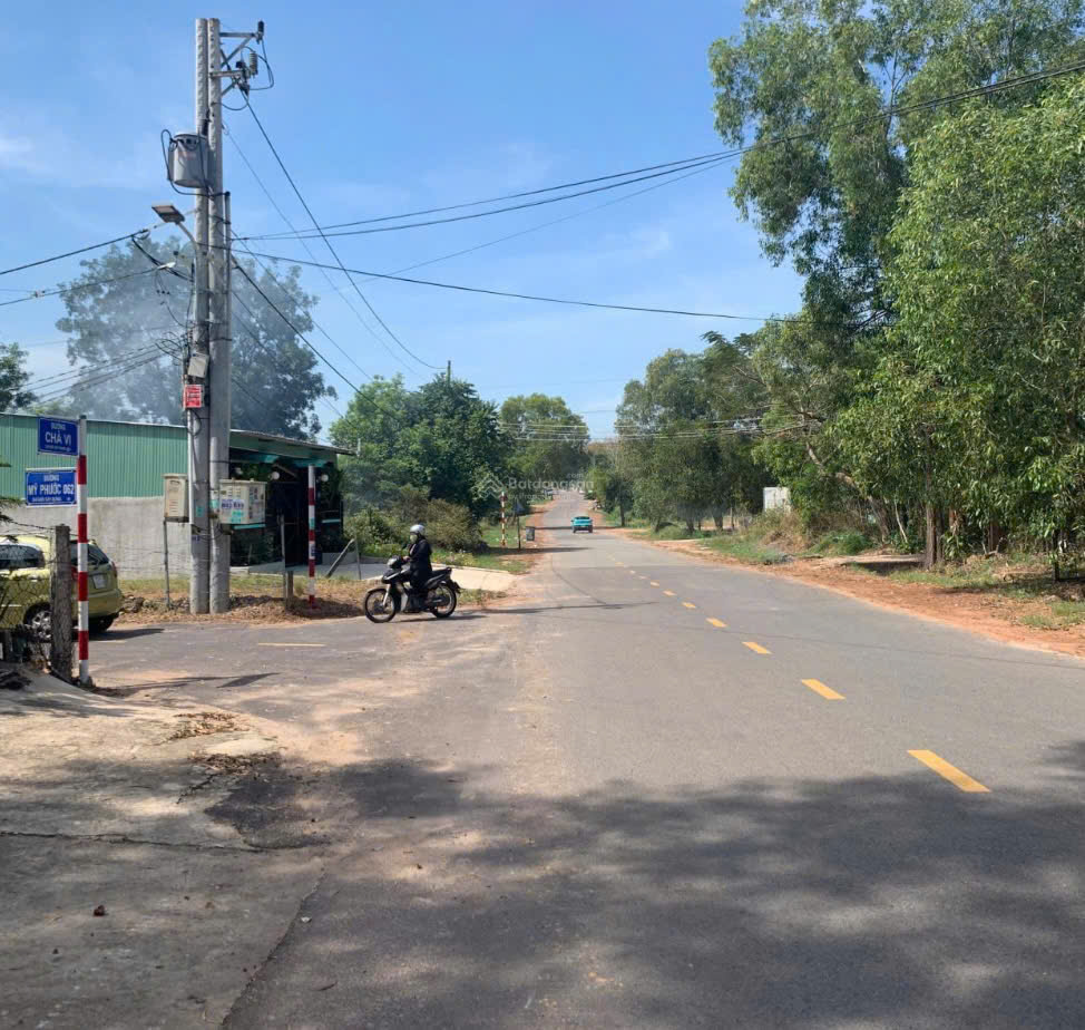 Hàng hiếm Mỹ Phước – Hơn 5800m² có thổ cư, giá cực đẹp! - Ảnh 2