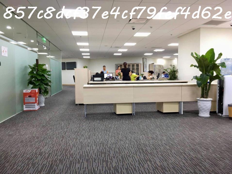 AI Bán nhà 228m², 7 tầng, Lý Thường Kiệt, Tân Bình, 85 tỷ, sổ đỏ - Ảnh 4