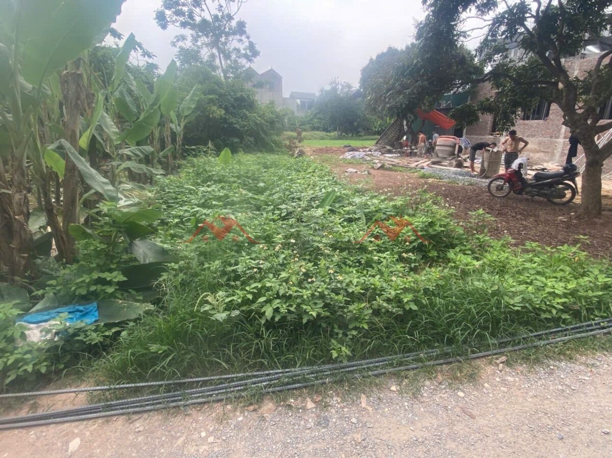 CHINHS CHỦ BÁN LÔ ĐẤT 54,9M TẠI PHỤNG CHÂU-CHƯƠNG MỸ-HÀ NỘI - Ảnh 1